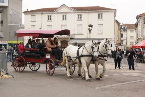 Calèche de prestige attelée de ses deux chevaux blancs